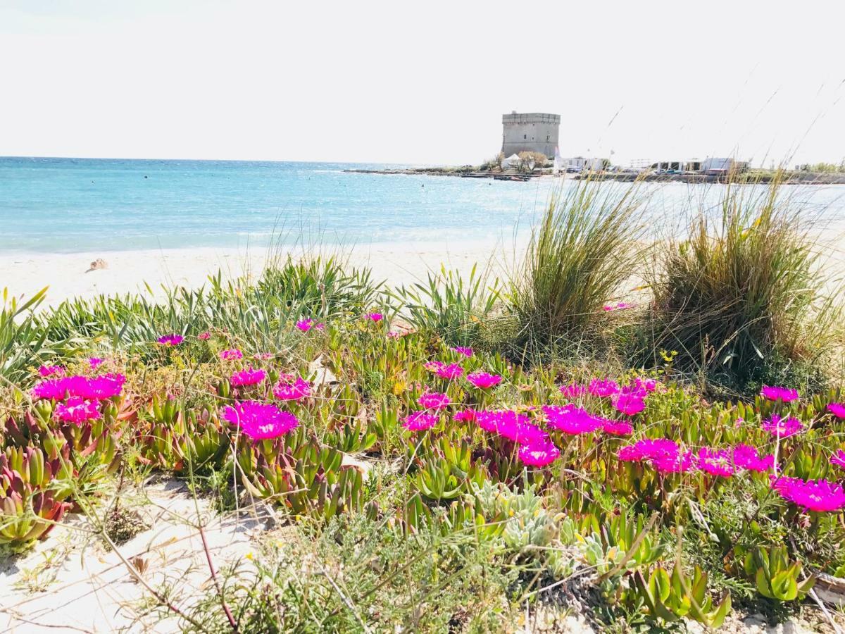 Casa Vacanze Dei Bacini 포르토 세자레오 외부 사진